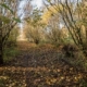 The Lovell Quinta Arboretum, Swettenham, CW12 2LF